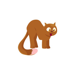 Cute comic style brown domestic cat with bushy tail, cartoon vector illustration isolated on white background. Cartoon fluffy, plump cat with little ears and bushy tail. Cat yoga pose symbol