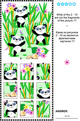 Fototapeta premium Panda bears visual logic puzzle: What of the 2 - 10 are not the fragments of the picture 1? Plus same task text in Russian. Answer included. 