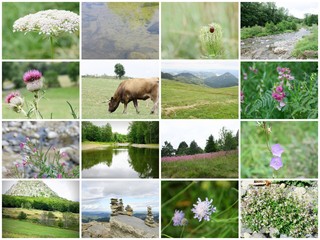 composition,paysages sauvages du massif central