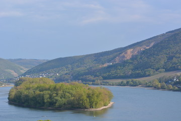 Obraz premium River rhine with ferry