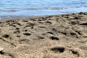 beach