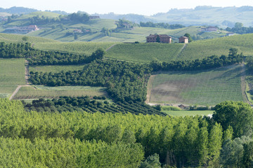 Fototapeta na wymiar Langhe agricultural landscape, Piedmont, Italy