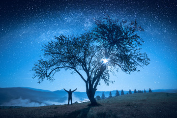 Fototapeta na wymiar Lonely tree under the night sky