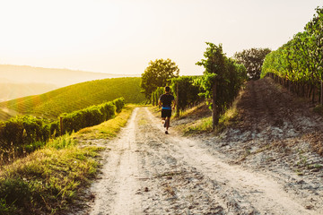 Obraz premium Man trail running in the vineyards at the sunset