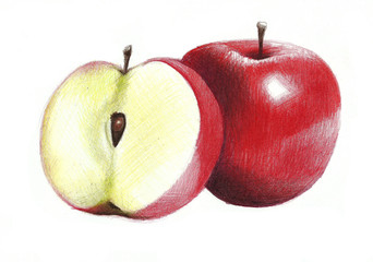 HAND DRAWING APPLE