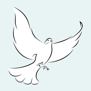 Line Art Vector Illustration Of A Flying White Dove.