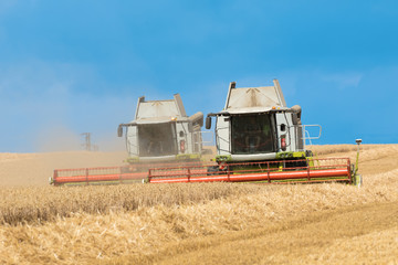 Obraz premium two harvesters