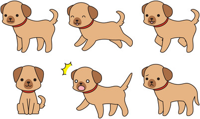 犬 ドッグ わんわん 散歩　表情