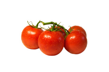 yummy ripe cherry Tomatoes