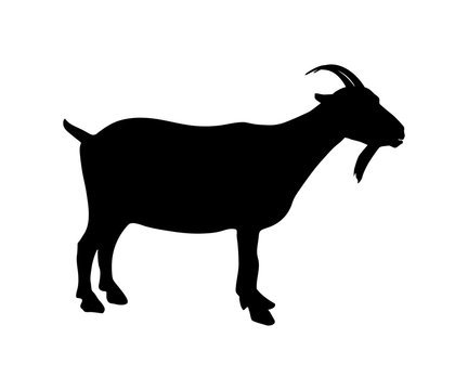Goat Icon Black Silhouette