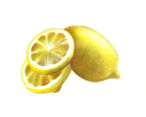Hand drawing lemon