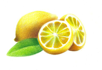 Hand drawing lemon