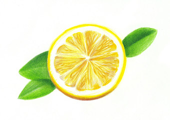 Hand drawing lemon