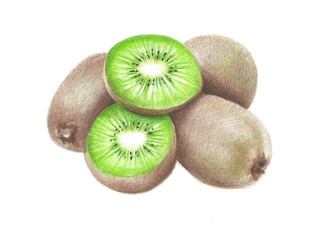 Hand drawing kiwi fruit