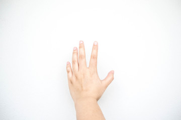 Obraz premium female hand on the white background