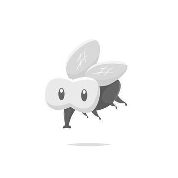 Cartoon fly insect vector isolated