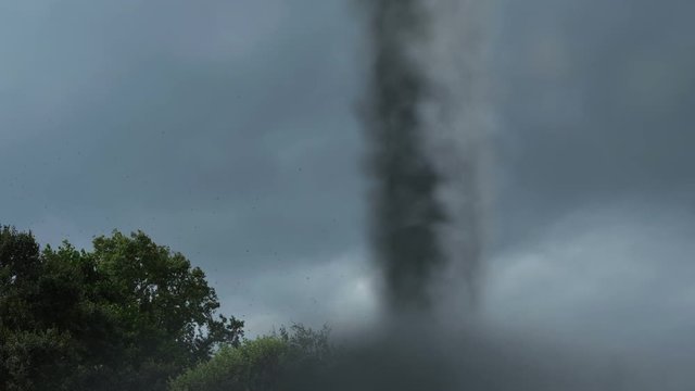 Tornado erupting from a violent storm with trees and debris blowing in extreme wind and weather. 