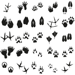 Obraz premium Silhouettes animal birds and mammals footprints set Vector icons.