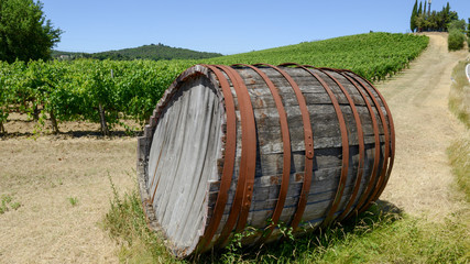 Obraz premium Chianti wine barrel on a Wineyard in Tuscany