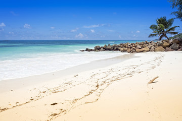 Beautiful tropical beach Seychelles islands
