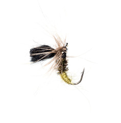 fly for fishing on a white background