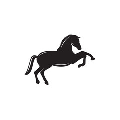 Obraz premium horse silhouette