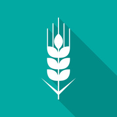 Wheat grain icon with long shadow. Flat design style. Wheat grain simple silhouette. Modern, minimalist icon in stylish colors. Web site page and mobile app design vector element.