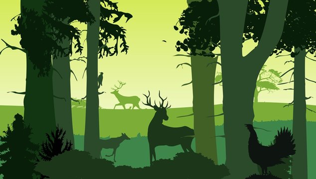 Forest silhouette, deer and bird, vector illustration