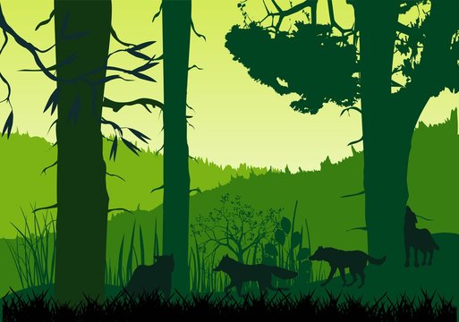 Wolves pack silhouettes and forest silhouette. Vector
