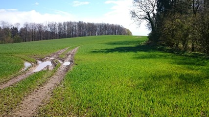 Fototapeta na wymiar Neuwührener Ackerfeld mit Blick aufs Feld