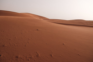 Fototapeta na wymiar dunas del desierto
