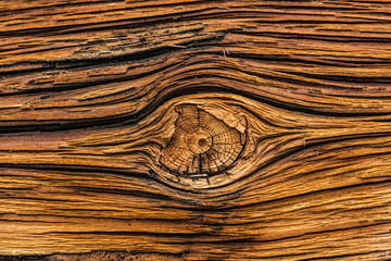 Aged spruce pine wood plank wall detail