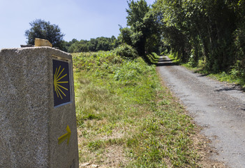 Camino de Santiago