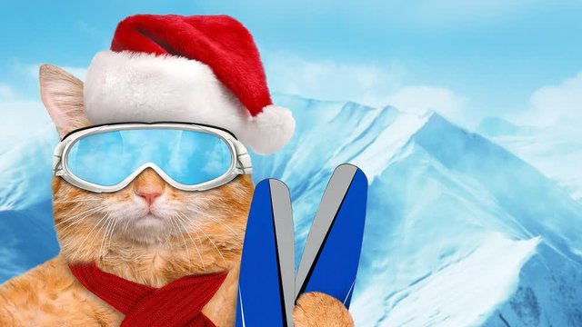 Cinemagraph - Skier cat in red Christmas hat wearing sunglasses relaxing in the mountain . Motion Photo. 