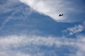 Obraz premium 飛行機と青空と雲（成功、旅立ち、立ち向かう、可能性などのイメージ）