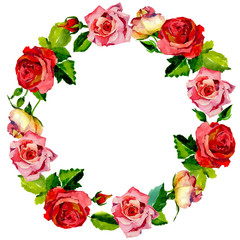 Wildflower rose flower wreath in a watercolor style. Full name of the plant: rose. Aquarelle wild flower for background, texture, wrapper pattern, frame or border.