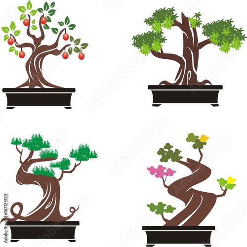 "bonsai tree icon set on white background" Stock photo and royalty-free