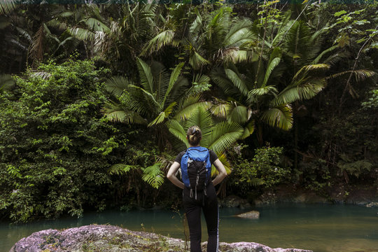 Rear view of woman with backpack standing at lakeshore in El Yunque National Forest