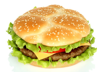 Big hamburger on white background