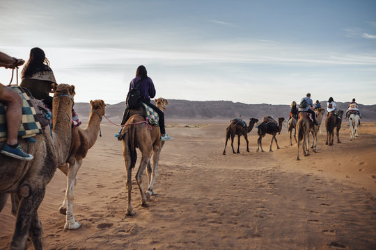 Tourists riding on camels at desert against sky