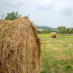 Hay bale in the foreground in rural field