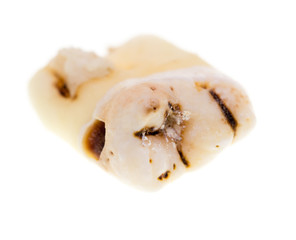 Old torn tooth on a white background
