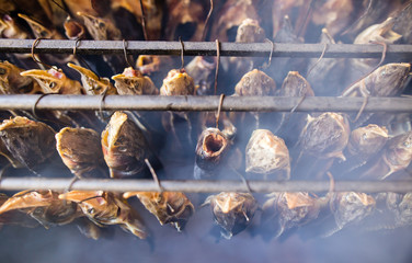 Smoky fish in smokehouse