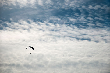 Silhouette of a flying paraglider against a background of clouds in a summer sunny day.