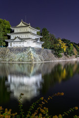 Fototapeta na wymiar Nagoya Castle