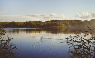 Obraz na płótnie Canvas Lake landscape with ducks