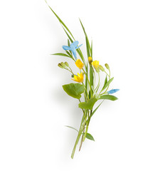 bouquet of wild flowers isolated on white background