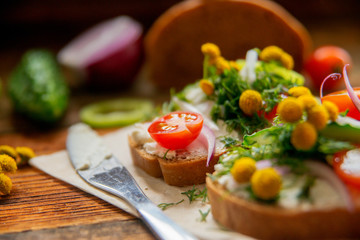 Wholesome sandwich with cheese, garden radish -Healthy Eating