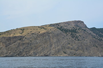 горы море цветы фрукты кот небо люди