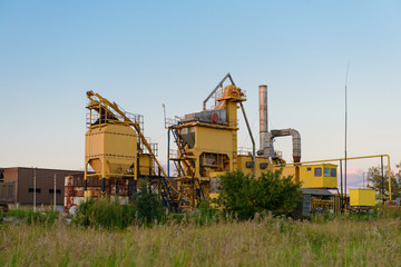 Plant in the field in the evening